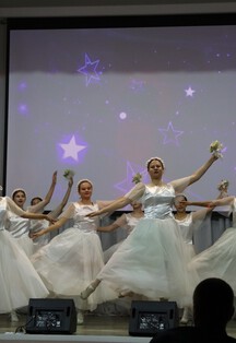 Дамы и господа. Программа